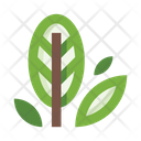 پیش‌نمایش فایل leaves-5658084 از پک برگ‌ها