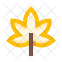 پیش‌نمایش فایل leaves-5658085 از پک برگ‌ها