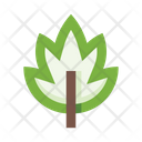 پیش‌نمایش فایل leaves-5658087 از پک برگ‌ها
