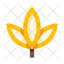 پیش‌نمایش فایل leaves-5658088 از پک برگ‌ها