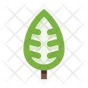 پیش‌نمایش فایل leaves-5658091 از پک برگ‌ها