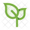 پیش‌نمایش فایل leaves-5658094 از پک برگ‌ها