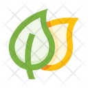 پیش‌نمایش فایل leaves-5658095 از پک برگ‌ها
