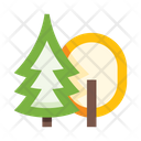 پیش‌نمایش فایل forest-5657979 از پک جنگل