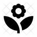 پیش‌نمایش فایل flower-5657939 از پک گل‌ها