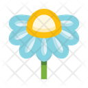 پیش‌نمایش فایل chamomile-5657975 از پک گل‌ها