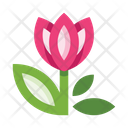 پیش‌نمایش فایل flower-5657964 از پک گل‌ها