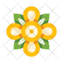 پیش‌نمایش فایل flower-5657973 از پک گل‌ها
