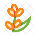 پیش‌نمایش فایل flower-5657978 از پک گل‌ها