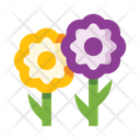 پیش‌نمایش فایل flowers-5657962 از پک گل‌ها