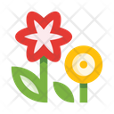 پیش‌نمایش فایل flowers-5657968 از پک گل‌ها