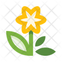 پیش‌نمایش فایل orange-flower-5657963 از پک گل‌ها