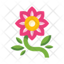 پیش‌نمایش فایل rose-5657957 از پک گل‌ها