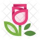 پیش‌نمایش فایل rose-5657965 از پک گل‌ها