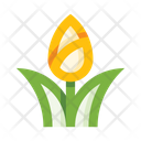پیش‌نمایش فایل tulip-5657966 از پک گل‌ها