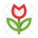 پیش‌نمایش فایل tulip-5657967 از پک گل‌ها