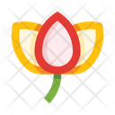 پیش‌نمایش فایل tulip-5657970 از پک گل‌ها