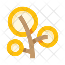 پیش‌نمایش فایل tree-6603392 از پک درختان