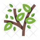 پیش‌نمایش فایل tree-6603394 از پک درختان