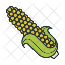 پیش‌نمایش فایل corn-agriculture-farm-food-farming از پک میوه و سبزیجات