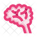 پیش‌نمایش فایل brain-8605985 از پک کالبدشناسی