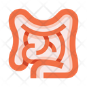پیش‌نمایش فایل intestines-8605993 از پک کالبدشناسی