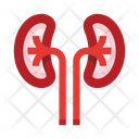 پیش‌نمایش فایل kidneys-8605996 از پک کالبدشناسی
