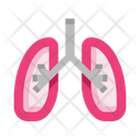 پیش‌نمایش فایل lungs-8606006 از پک کالبدشناسی