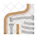 پیش‌نمایش فایل shoulder-8606018 از پک کالبدشناسی