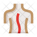 پیش‌نمایش فایل spine-8606041 از پک کالبدشناسی