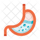 پیش‌نمایش فایل stomach-8606021 از پک کالبدشناسی