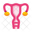 پیش‌نمایش فایل uterus-8606024 از پک کالبدشناسی