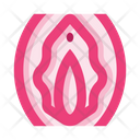 پیش‌نمایش فایل vagina-8606025 از پک کالبدشناسی