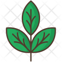 پیش‌نمایش فایل branch-1 از پک طبیعت و فضای باز