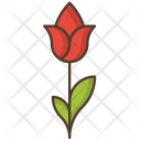 پیش‌نمایش فایل flower-22 از پک طبیعت و فضای باز