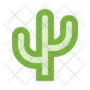 پیش‌نمایش فایل cactus-2442934 از پک طبیعت