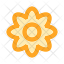 پیش‌نمایش فایل flower-2442923 از پک طبیعت