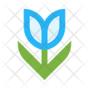 پیش‌نمایش فایل flower-2442924 از پک طبیعت