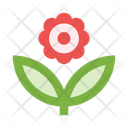 پیش‌نمایش فایل flower-2442926 از پک طبیعت