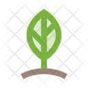 پیش‌نمایش فایل leaf-2442917 از پک طبیعت