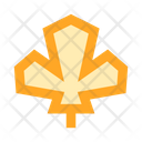 پیش‌نمایش فایل leaf-2442918 از پک طبیعت