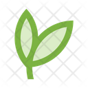 پیش‌نمایش فایل leaves-2442916 از پک طبیعت