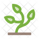 پیش‌نمایش فایل plant-2442911 از پک طبیعت