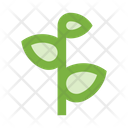 پیش‌نمایش فایل sprout-2442944 از پک طبیعت