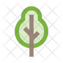 پیش‌نمایش فایل tree-2442940 از پک طبیعت
