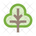 پیش‌نمایش فایل tree-2442941 از پک طبیعت