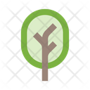پیش‌نمایش فایل tree-2442942 از پک طبیعت