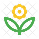 پیش‌نمایش فایل flower-2442975 از پک طبیعت