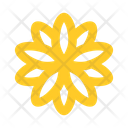 پیش‌نمایش فایل flower-2442978 از پک طبیعت