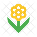 پیش‌نمایش فایل flower-2442979 از پک طبیعت